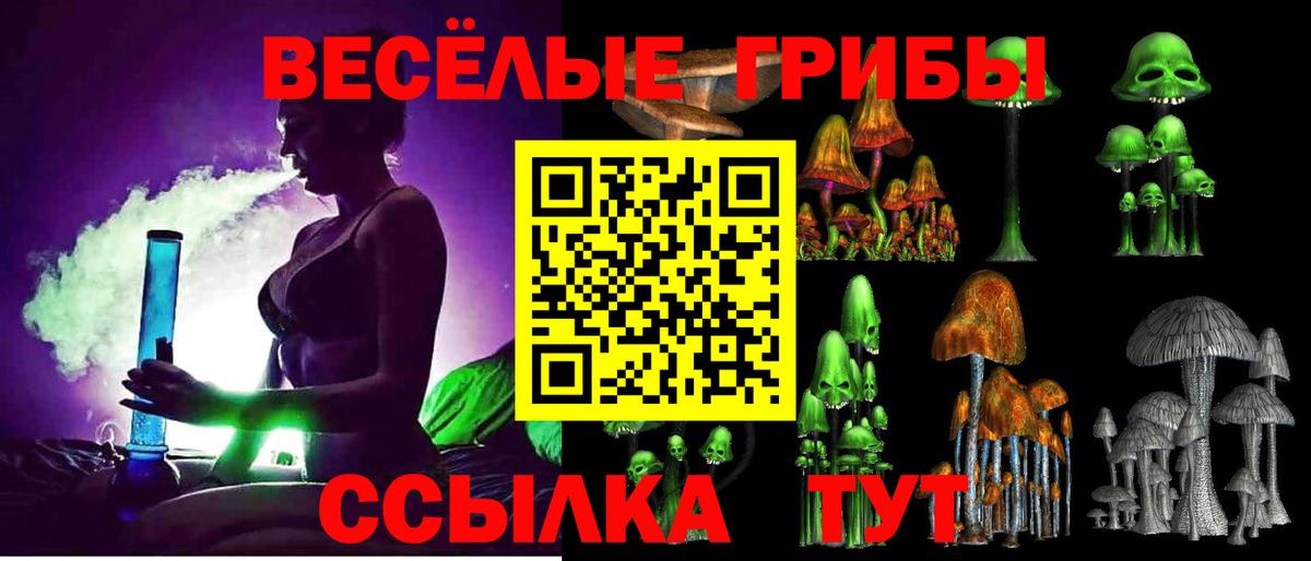Псилоцибиновые грибы GOLDEN TEACHER  Вход с VPN  Ахтубинск 