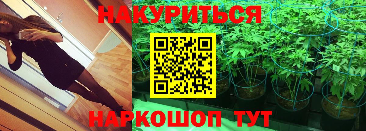 Шишки марихуана семена  Марихуана семена  Вход с VPN  Ахтубинск  Бошки Шишки SATIVA & INDICA  МАРИХУАНА гибрид 